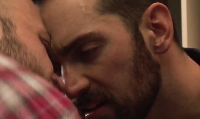 Dolan Teddy Bruno Fox And Prosperous Kelly Part 2