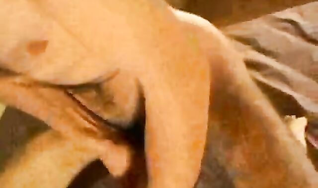 Gypsy hefty ten-Pounder