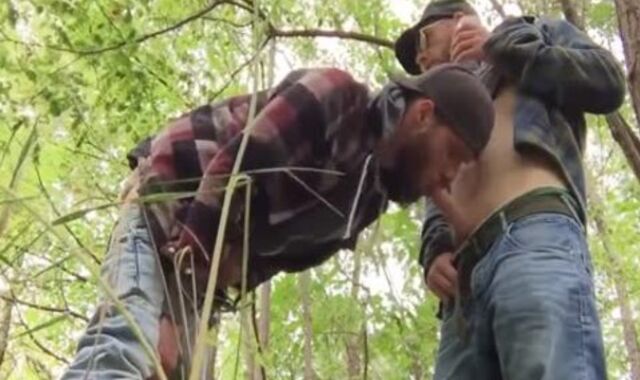 pee Pig Homies Frolicking outdoors