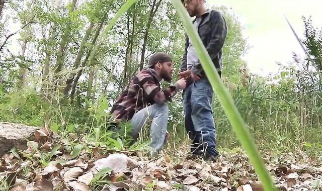 pee Pig Homies Frolicking outdoors