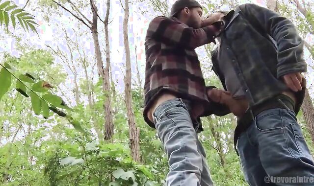 pee Pig Homies Frolicking outdoors