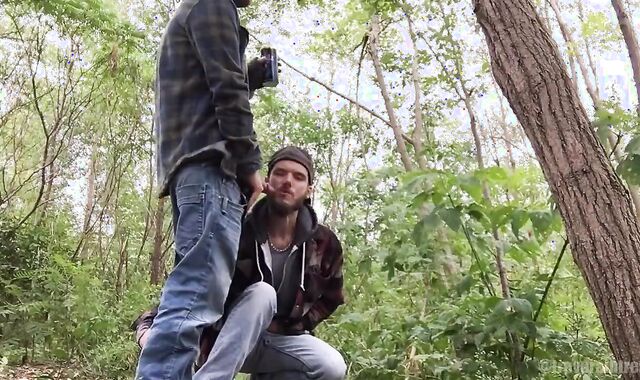 pee Pig Homies Frolicking outdoors