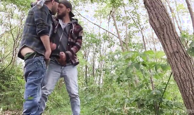 pee Pig Homies Frolicking outdoors