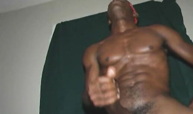 Jamaican lollipop stud...