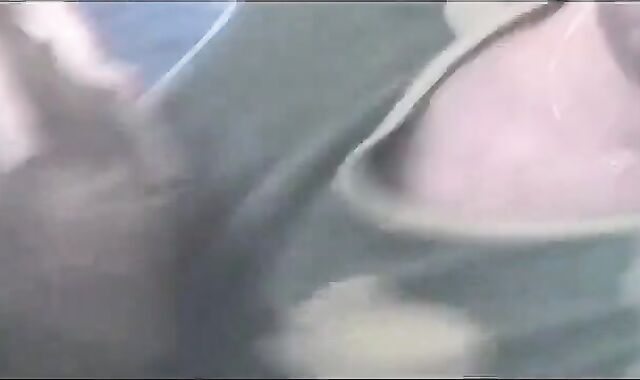 TIERY B. - Copyright // concupiscent youngster deep-throating palatable Militar IV