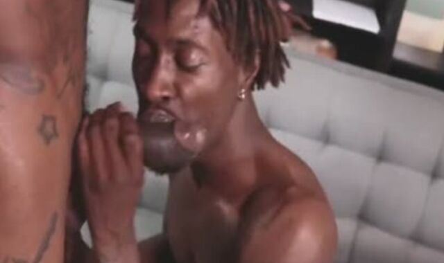 Wealthy Chocolate & jiggly Catt dark-hued Thug