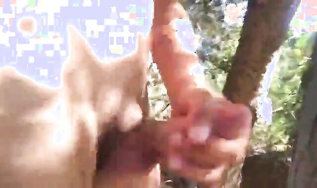 Cruising In The Park Forest  From Sdexhibitio