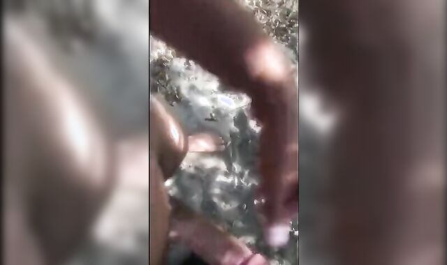 Cruising In The Park Forest  From Sdexhibitio