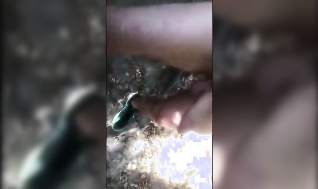 Cruising In The Park Forest  From Sdexhibitio