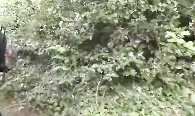 Trio obscene boyz Have Fucky-Fucky In The Forest