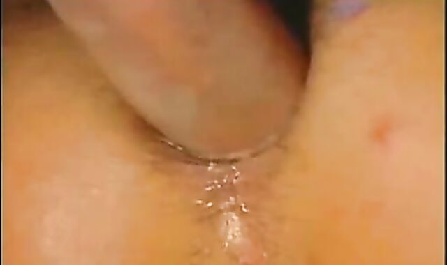 Darokroom For Leather Part trio