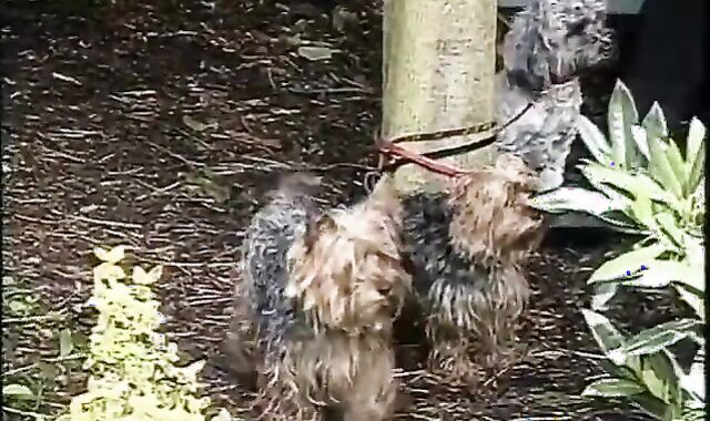 Fernando Leone + Guilhem Thomas