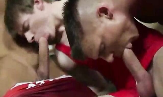 Milan Sharpe, Denis Reed & D(a)mien Dickey