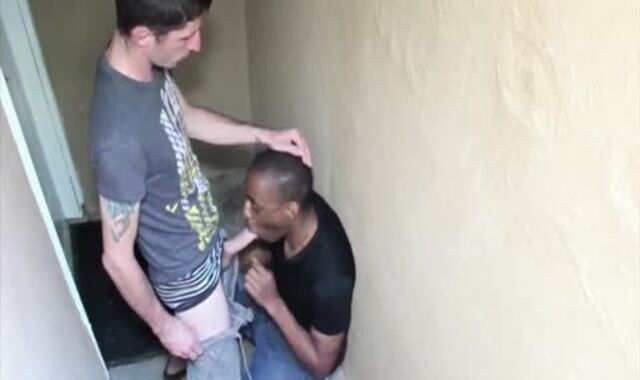 pulverizing Rock Hard And humid With gigantic deep Oral Jobs And phat enjoy cream