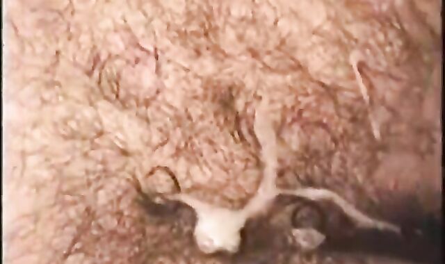 2 Marines Take Orders From Bobby