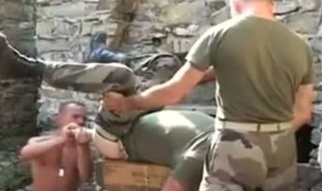 joyful Veterans Day 2014