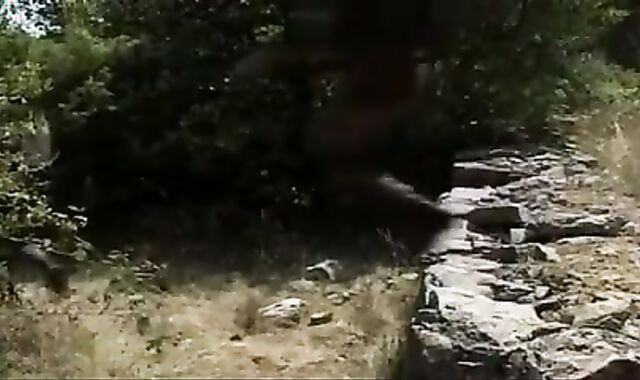 joyful Veterans Day 2014