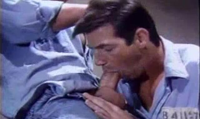 Jeff Stryker Activity