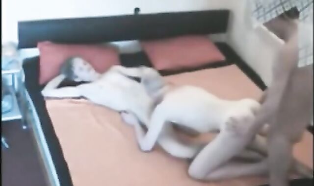 Ein Geiler WG  Tag