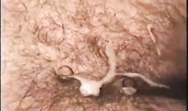 Gay-For-Pay Marines absorb And poke