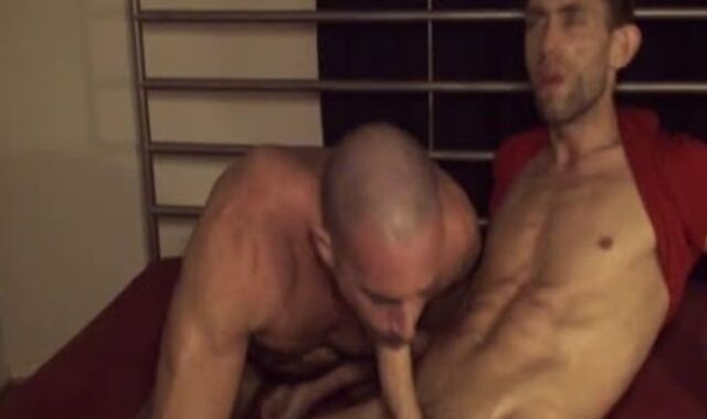 Well-suspended gay Hook-Up Animals In A admirable Porn!