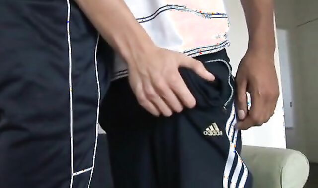 Supah Monster stiffys Breeding