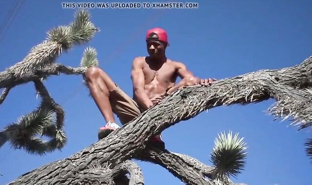 Hitchhiker Acquires A bare Monster ten-Pounder Elevate