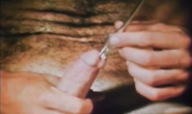 From grand-daddy's Closet: intimate Bevy (1980)