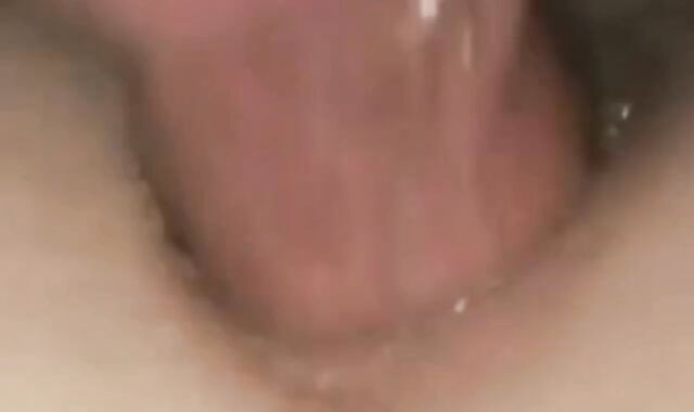 Hooded Top Breeds The perfect Cherry Taint