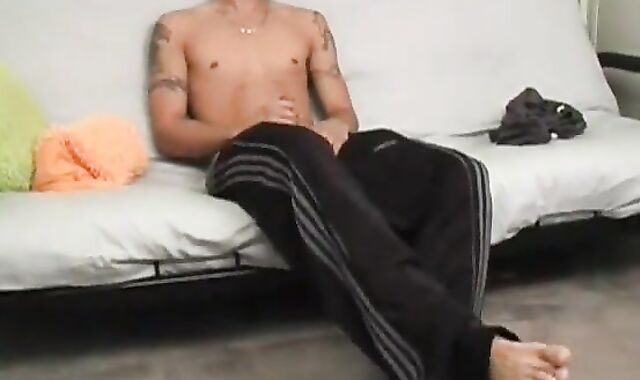 Taz receive Tricked During His Solo When one greater quantity Gu