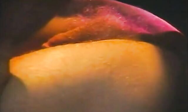 From grand-daddy's Closet: Too humongous For His Britches (1988)