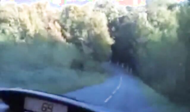 BRICE FARMER Porn Starlet Queer Drill Jess ROYAN in Woods Public