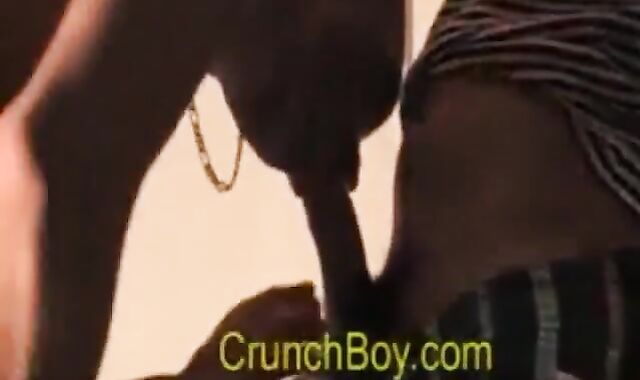 Lascard Baise un Mec Dans La Tunnel et Lui Faced SA Grosse Queue Dans SA Bouche