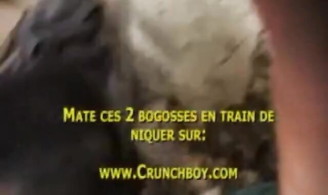 JOHN Despe Pornography Starlet Faggot Crunchboy Monster Manstick