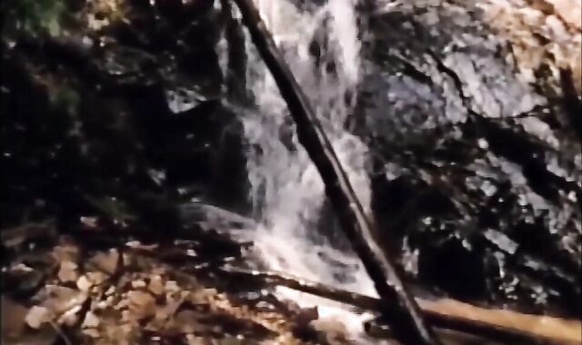 homo - Antique 1983 1-2