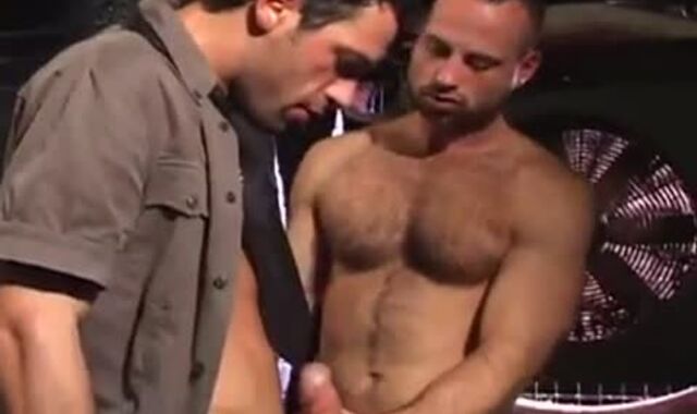 Wolves In The Apartment