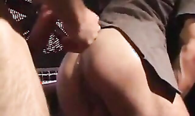 Wolves In The Apartment