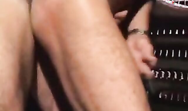 Wolves In The Apartment