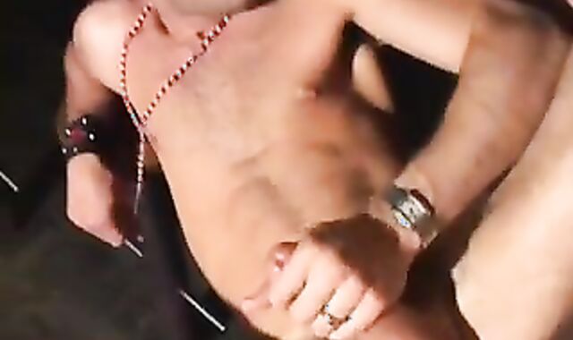 Wolves In The Apartment