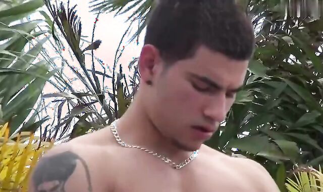 homosexual Attempts How A darksome dick Tastes