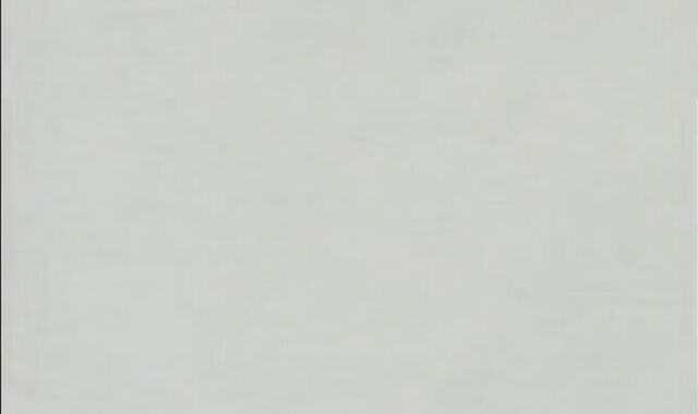 (Johan Pulik).Chicken In His Very First homosexual Pub.