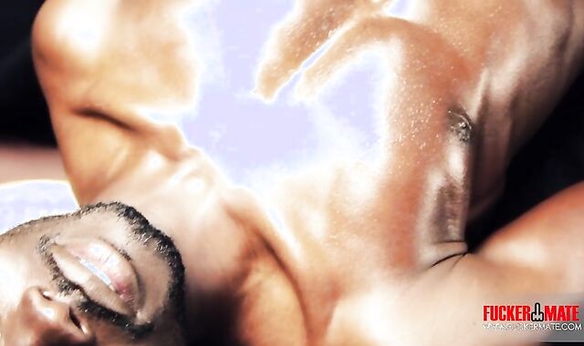 dark-hued stud Solo With Mega ten-Pounder