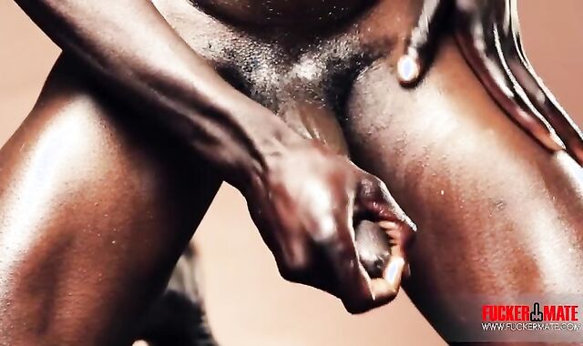 dark-hued stud Solo With Mega ten-Pounder