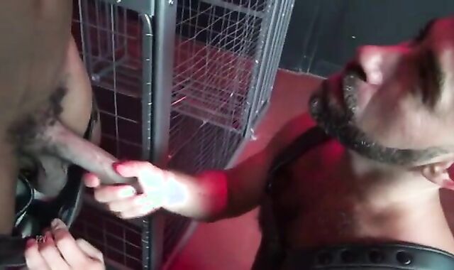 Damon Andros ravages Osiris Blade  - unprotected