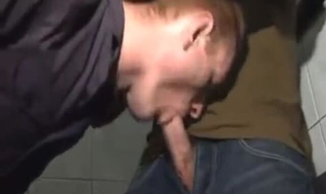 Scallies humid In Toilets