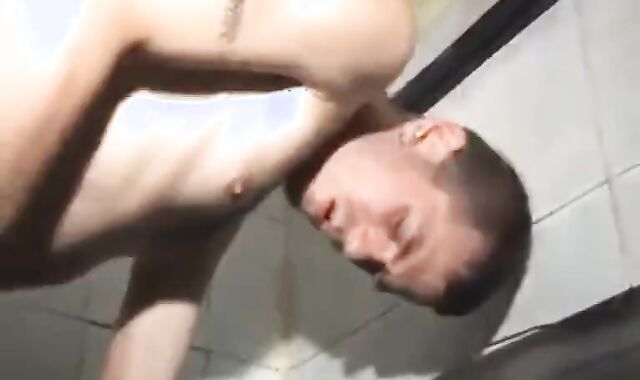 Scallies humid In Toilets