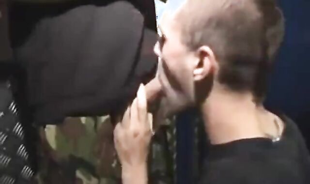 Scallies humid In Toilets