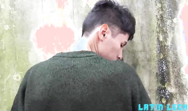 LL 41