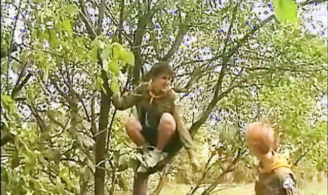 Scouts Have Fun In The Nature