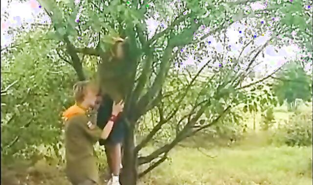 Scouts Have Fun In The Nature